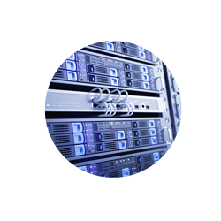 SANAL SUNUCU KİRALAMA, Sunucular